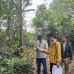 Nhóm hộ FSC Lâm sản Thái Hưng – Phú Lương