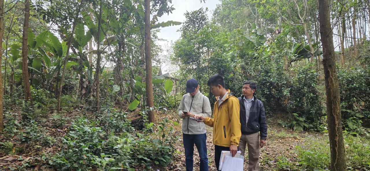 Nhóm hộ FSC Lâm sản Thái Hưng - Phú Lương