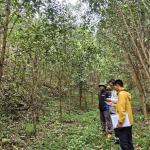 Nhóm hộ FSC Lâm sản Thái Hưng – Phú Lương