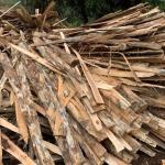 Bìa keo sạch vỏ