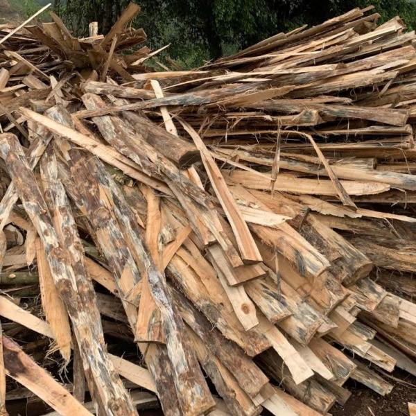 Bìa keo sạch vỏ