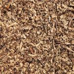 Dăm thông - cả vỏ